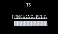 BELT-T5