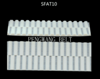 BELT-SFAT10
