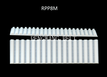 BELT-RPP8M