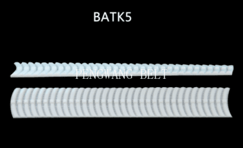 BELT-BATK5