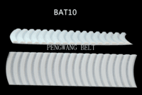 BELT-BAT10