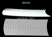 BELT-BATK10-100