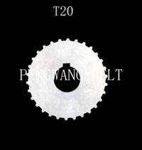 PULLEY-T20
